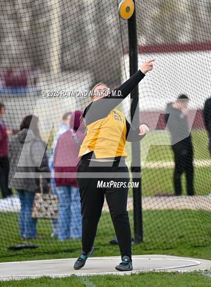 Thumbnail 1 in Wes-Del Triangular (Discus)  photogallery.