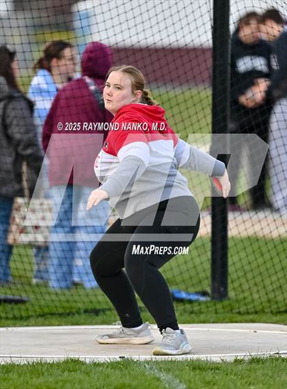 Thumbnail 1 in Wes-Del Triangular (Discus)  photogallery.