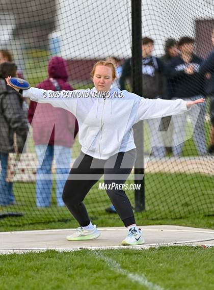 Thumbnail 1 in Wes-Del Triangular (Discus)  photogallery.