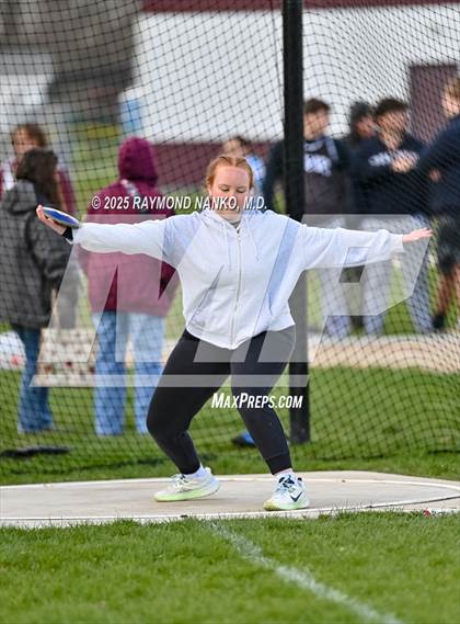 Thumbnail 2 in Wes-Del Triangular (Discus)  photogallery.