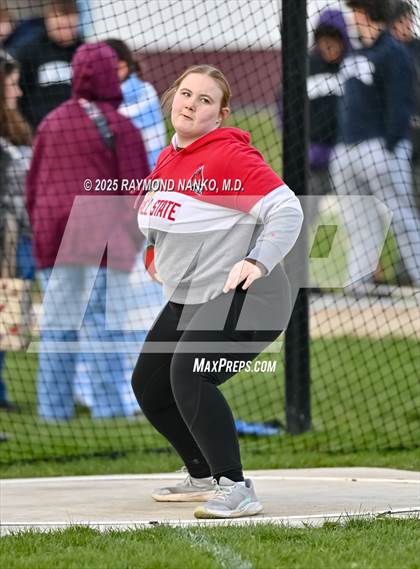 Thumbnail 3 in Wes-Del Triangular (Discus)  photogallery.