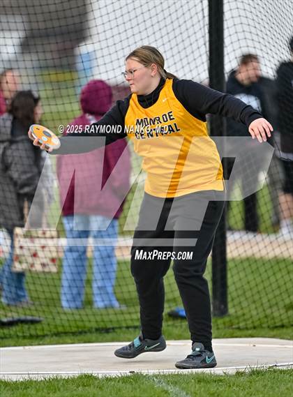 Thumbnail 1 in Wes-Del Triangular (Discus)  photogallery.