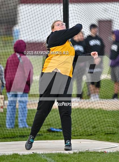 Thumbnail 2 in Wes-Del Triangular (Discus)  photogallery.