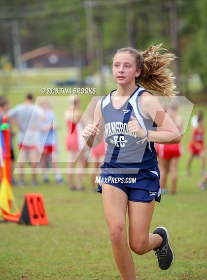 Thumbnail 3 in Coastal 3-A Conference Cross Country Championship photogallery.