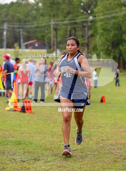 Thumbnail 2 in Coastal 3-A Conference Cross Country Championship photogallery.