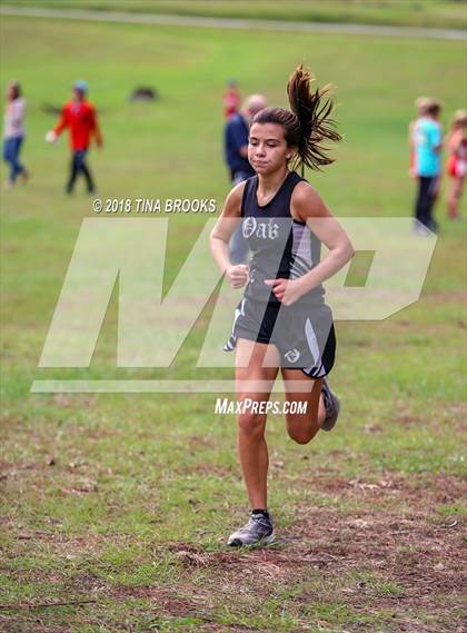 Thumbnail 1 in Coastal 3-A Conference Cross Country Championship photogallery.