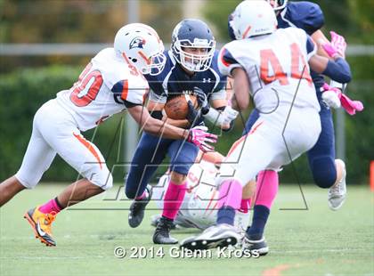 Thumbnail 2 in Fieldston @ Montclair Kimberley Academy photogallery.