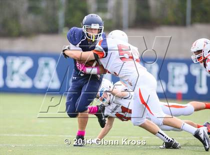 Thumbnail 2 in Fieldston @ Montclair Kimberley Academy photogallery.