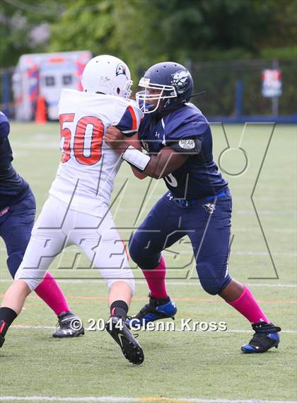 Thumbnail 2 in Fieldston @ Montclair Kimberley Academy photogallery.