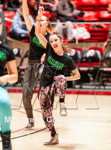 Thumbnail 2 in Hillcrest vs Alta (UHSAA 5A 1st Round) photogallery.