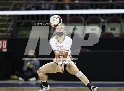 Thumbnail 2 in Mead vs Coronado (CHSAA 4A 1st Round) photogallery.