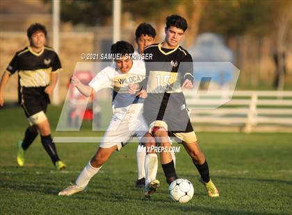Thumbnail 1 in Millennium vs. Waterford (Hughson Tournament) photogallery.