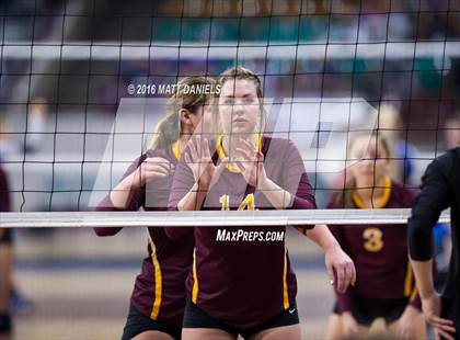 Thumbnail 1 in Lewis-Palmer vs. Windsor (CHSAA 4A Playoff) photogallery.