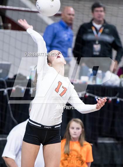 Thumbnail 2 in Lewis-Palmer vs. Windsor (CHSAA 4A Playoff) photogallery.