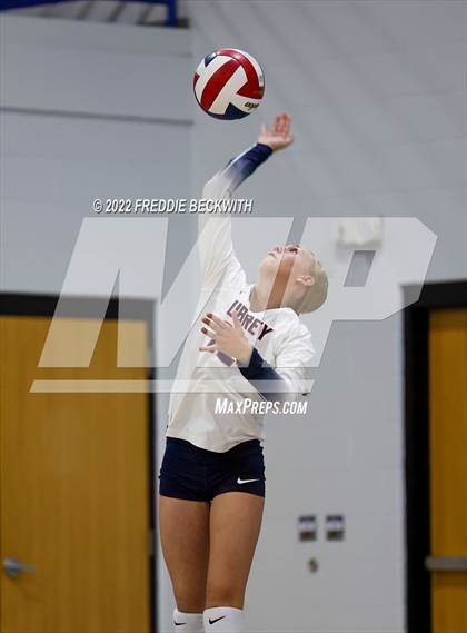 Thumbnail 1 in Aubrey @ Gunter photogallery.