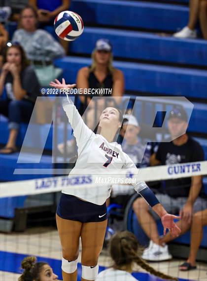 Thumbnail 1 in Aubrey @ Gunter photogallery.