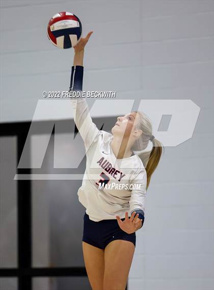 Thumbnail 1 in Aubrey @ Gunter photogallery.