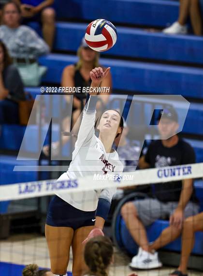 Thumbnail 3 in Aubrey @ Gunter photogallery.