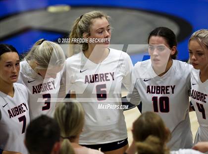 Thumbnail 1 in Aubrey @ Gunter photogallery.