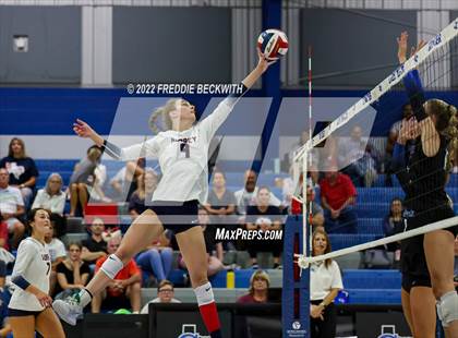Thumbnail 3 in Aubrey @ Gunter photogallery.