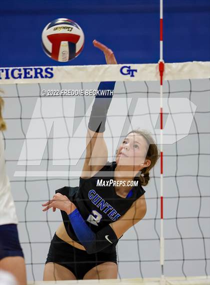 Thumbnail 3 in Aubrey @ Gunter photogallery.
