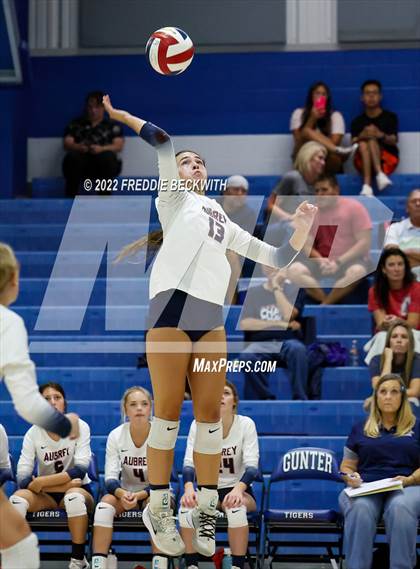 Thumbnail 2 in Aubrey @ Gunter photogallery.