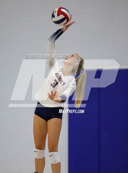 Thumbnail 1 in Aubrey @ Gunter photogallery.