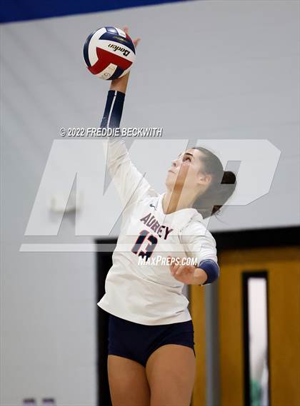 Thumbnail 1 in Aubrey @ Gunter photogallery.