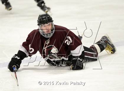 Thumbnail 3 in North Haven @ East Haven photogallery.