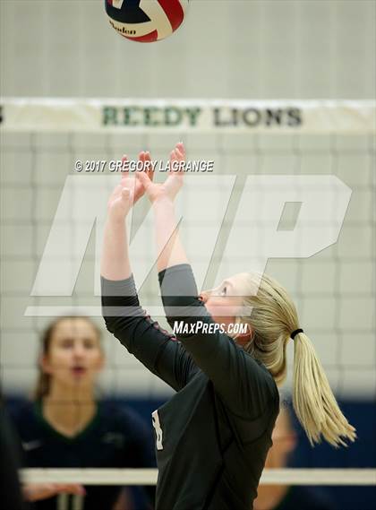 Thumbnail 3 in Liberty vs Reedy photogallery.