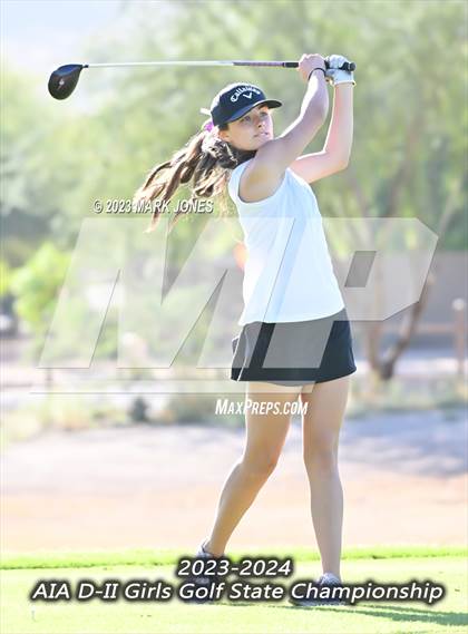 Thumbnail 3 in AIA DII Girls State Golf Championships photogallery.