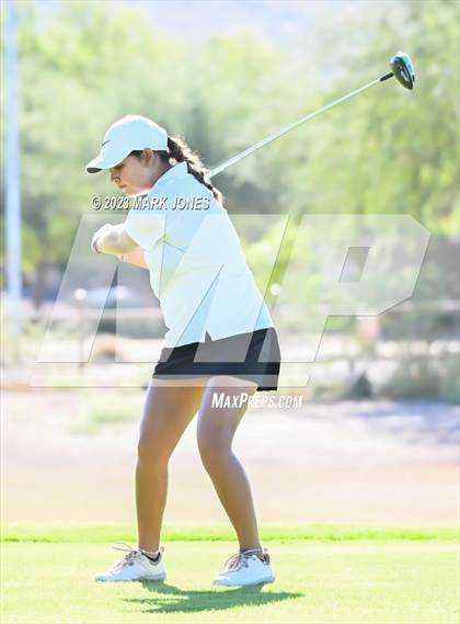 Thumbnail 3 in AIA DII Girls State Golf Championships photogallery.