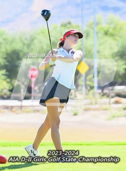 Thumbnail 3 in AIA DII Girls State Golf Championships photogallery.