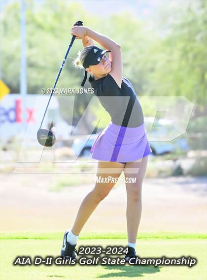 Thumbnail 1 in AIA DII Girls State Golf Championships photogallery.