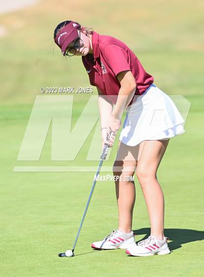 Thumbnail 2 in AIA DII Girls State Golf Championships photogallery.