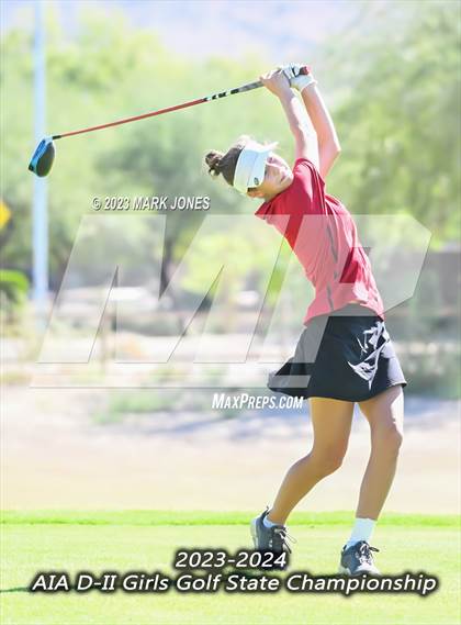 Thumbnail 1 in AIA DII Girls State Golf Championships photogallery.