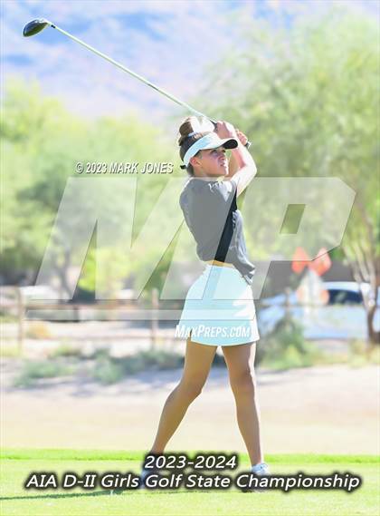 Thumbnail 2 in AIA DII Girls State Golf Championships photogallery.