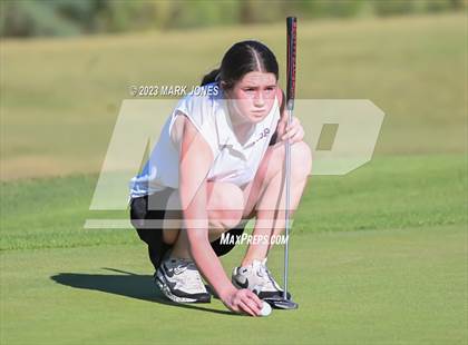 Thumbnail 1 in AIA DII Girls State Golf Championships photogallery.