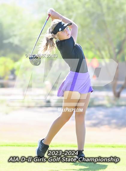 Thumbnail 2 in AIA DII Girls State Golf Championships photogallery.