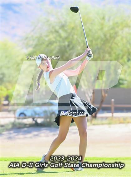 Thumbnail 1 in AIA DII Girls State Golf Championships photogallery.