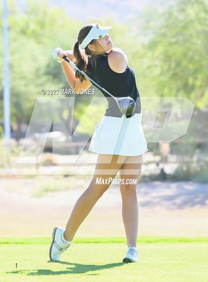 Thumbnail 1 in AIA DII Girls State Golf Championships photogallery.