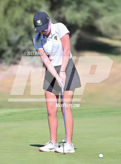 Thumbnail 3 in AIA DII Girls State Golf Championships photogallery.