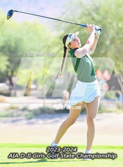 Thumbnail 2 in AIA DII Girls State Golf Championships photogallery.