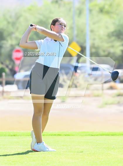 Thumbnail 1 in AIA DII Girls State Golf Championships photogallery.