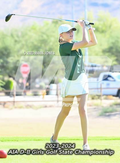 Thumbnail 1 in AIA DII Girls State Golf Championships photogallery.