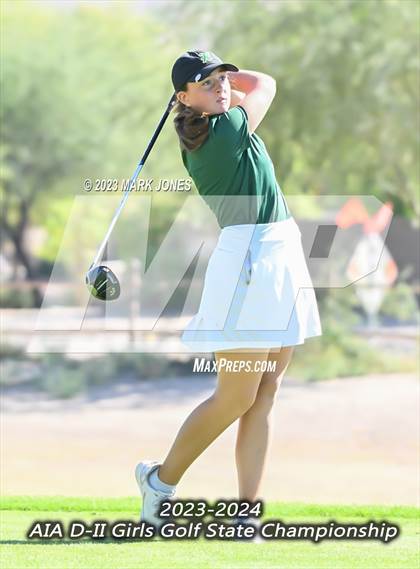 Thumbnail 2 in AIA DII Girls State Golf Championships photogallery.