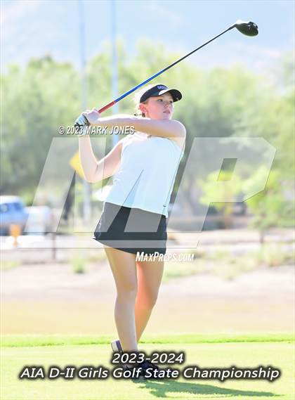 Thumbnail 1 in AIA DII Girls State Golf Championships photogallery.