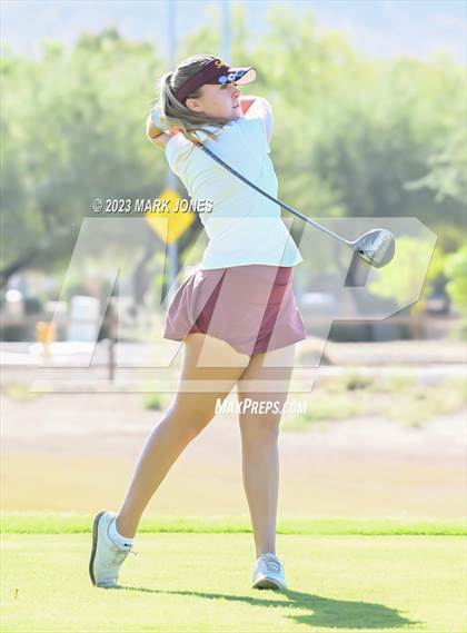 Thumbnail 3 in AIA DII Girls State Golf Championships photogallery.