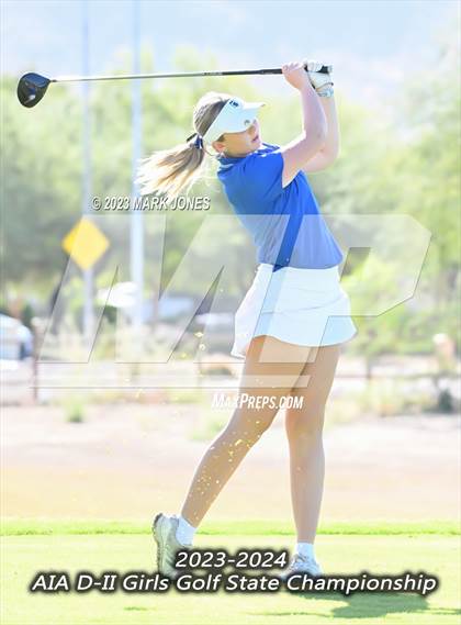 Thumbnail 3 in AIA DII Girls State Golf Championships photogallery.
