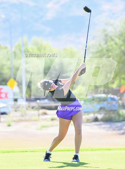 Thumbnail 3 in AIA DII Girls State Golf Championships photogallery.